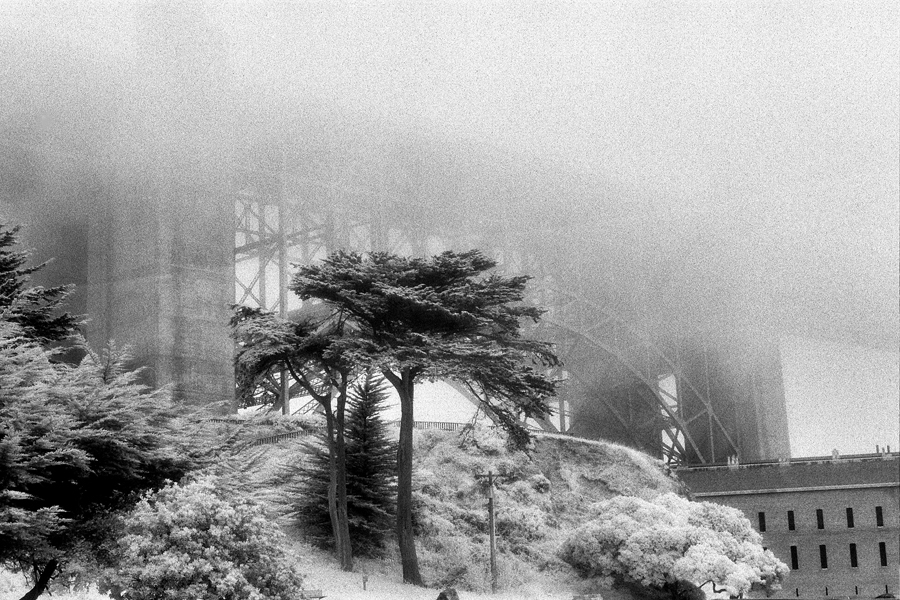 Garden view. The Golden Gate Bridge. Kodak Black & White Infrared Film(C)1995 :  : Christopher Davies Photography
