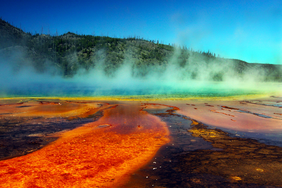 Yellowstone National Park, WY:Bacteria pool with steaming geysor :  : Christopher Davies Photography