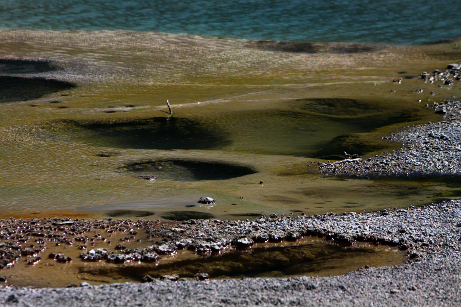 Yellowstone National Park, WY :  : Christopher Davies Photography