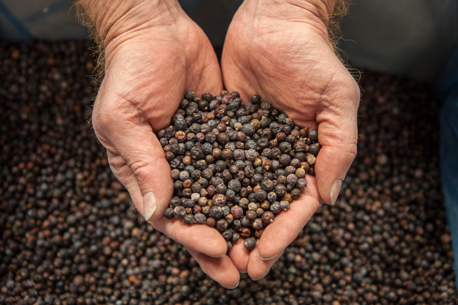 Handful of incgredients @ Vapor Distillery  :  : Christopher Davies Photography