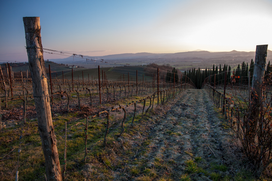Palazzo Vecchio, Montepulciano :  : Christopher Davies Photography