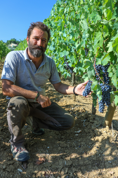 Nicolo De Ferrari, Owner of Boscarelli in Montepulciano :  : Christopher Davies Photography