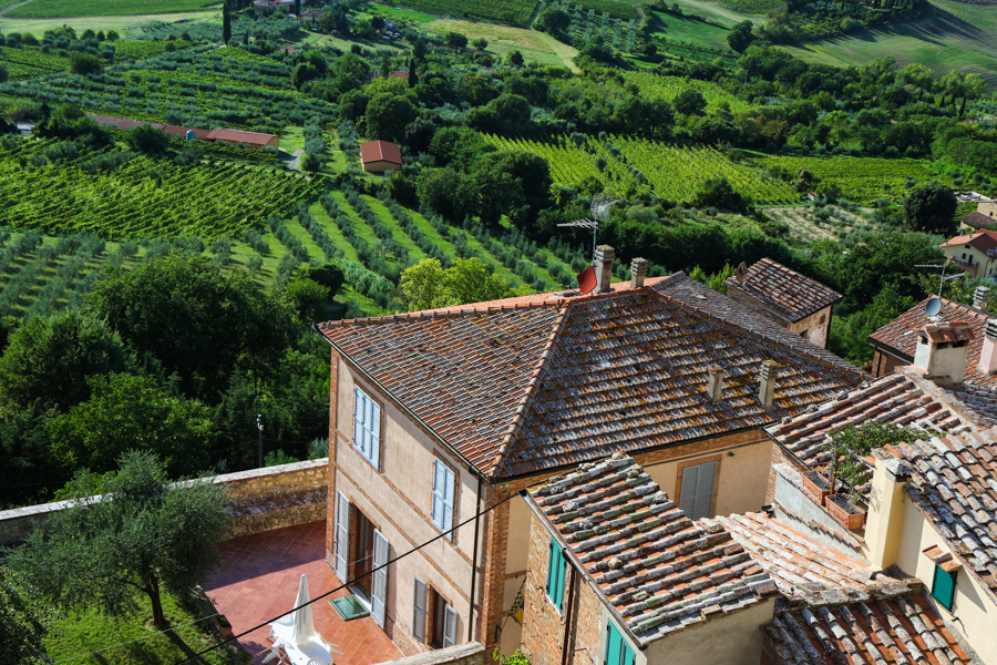 Tuscan hillside view in Montepulciano :  : Christopher Davies Photography